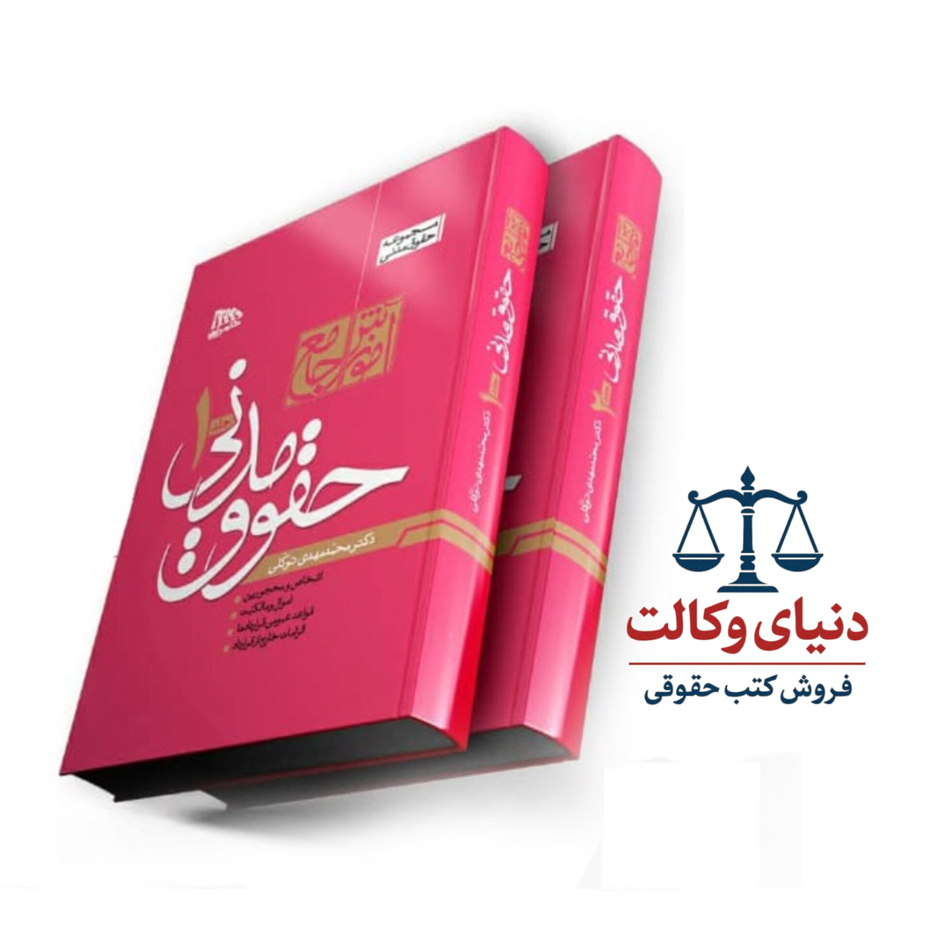 آموزش جامع حقوق مدنی جلد گالینگور